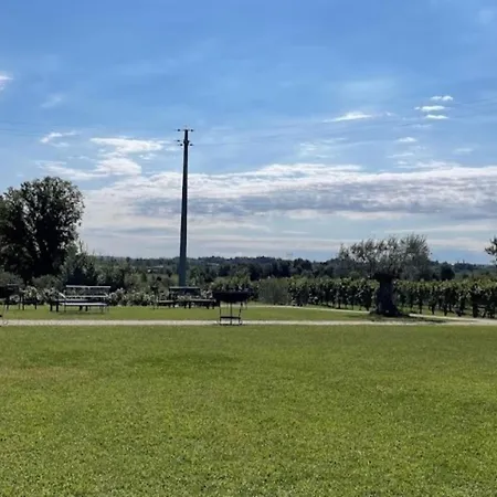 Almavite Wine With Pool Bauernhof