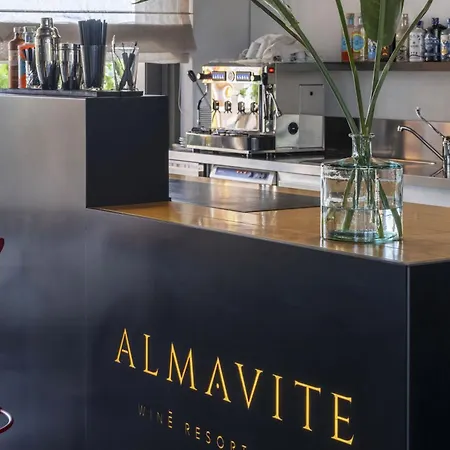 Almavite Wine With Pool * 代森扎诺-德尔加达