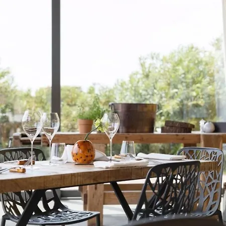 Almavite Wine With Pool 农家乐