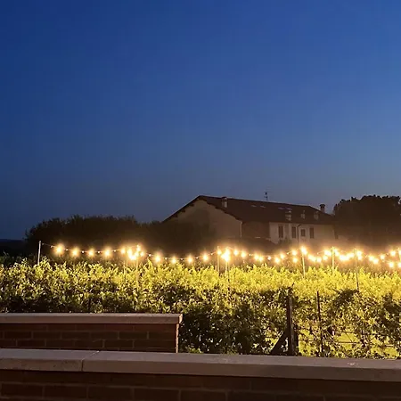 Almavite Wine With Pool 农家乐 代森扎诺-德尔加达