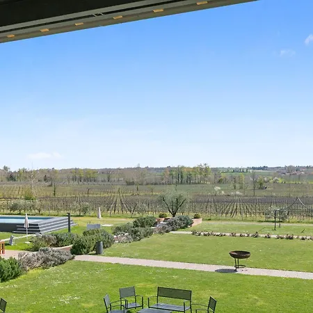 Almavite Wine With Pool *